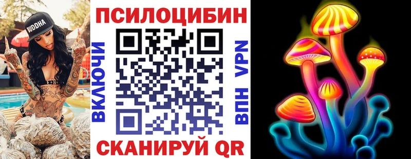 Купить где  Баксан  Галлюциногенные грибы мицелий 
