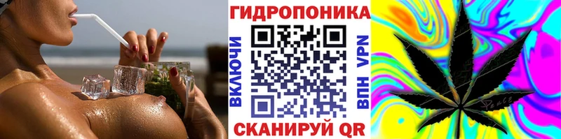 Купить где Баксан Бошки Шишки MAZAR